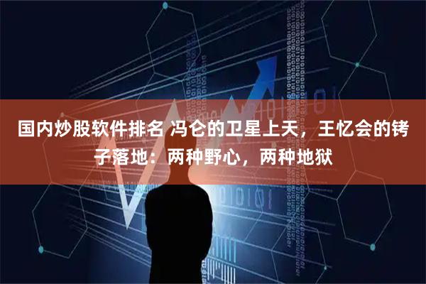 国内炒股软件排名 冯仑的卫星上天，王忆会的铐子落地：两种野心，两种地狱