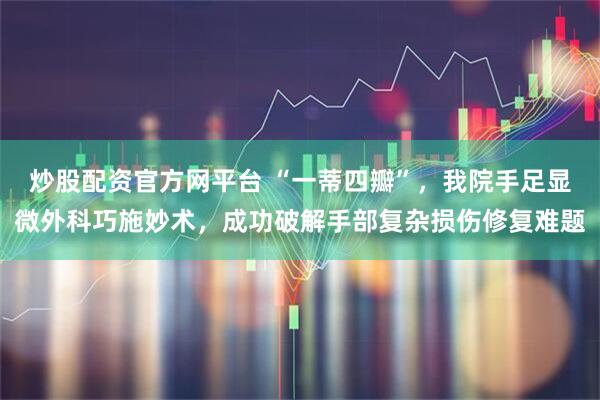 炒股配资官方网平台 “一蒂四瓣”，我院手足显微外科巧施妙术，成功破解手部复杂损伤修复难题
